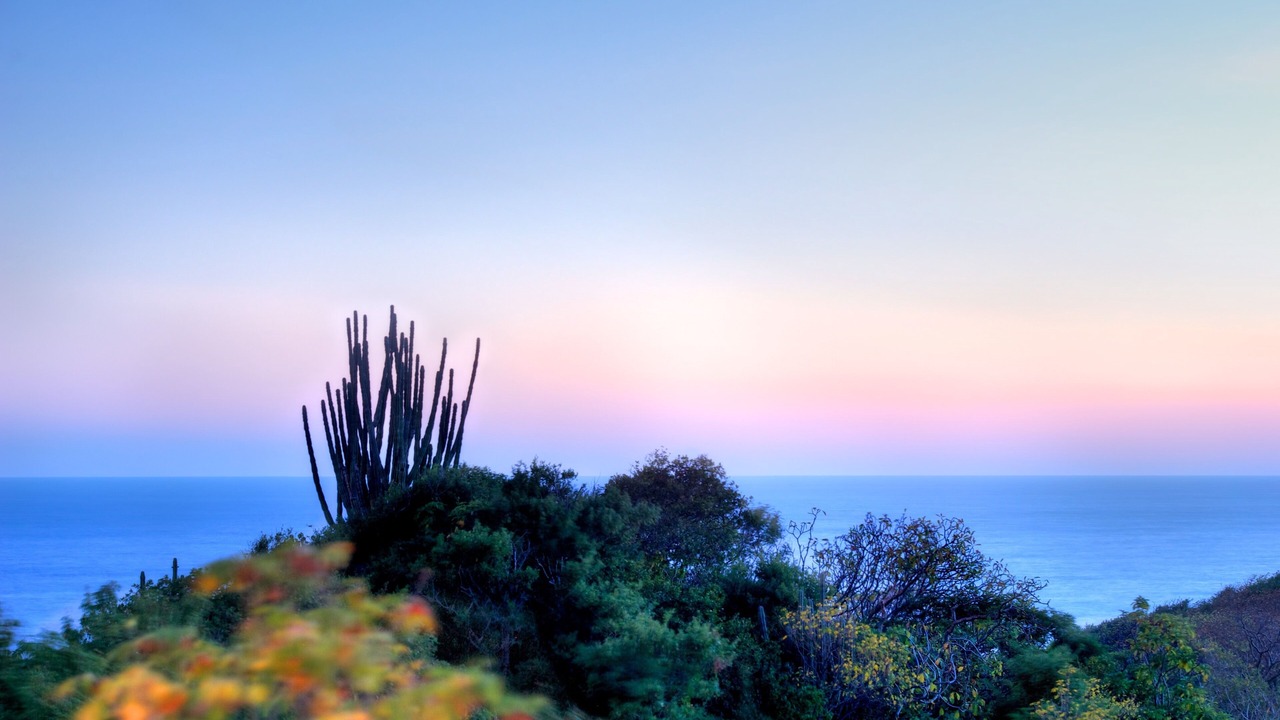 Photo of Others in Santa Maria Huatulco