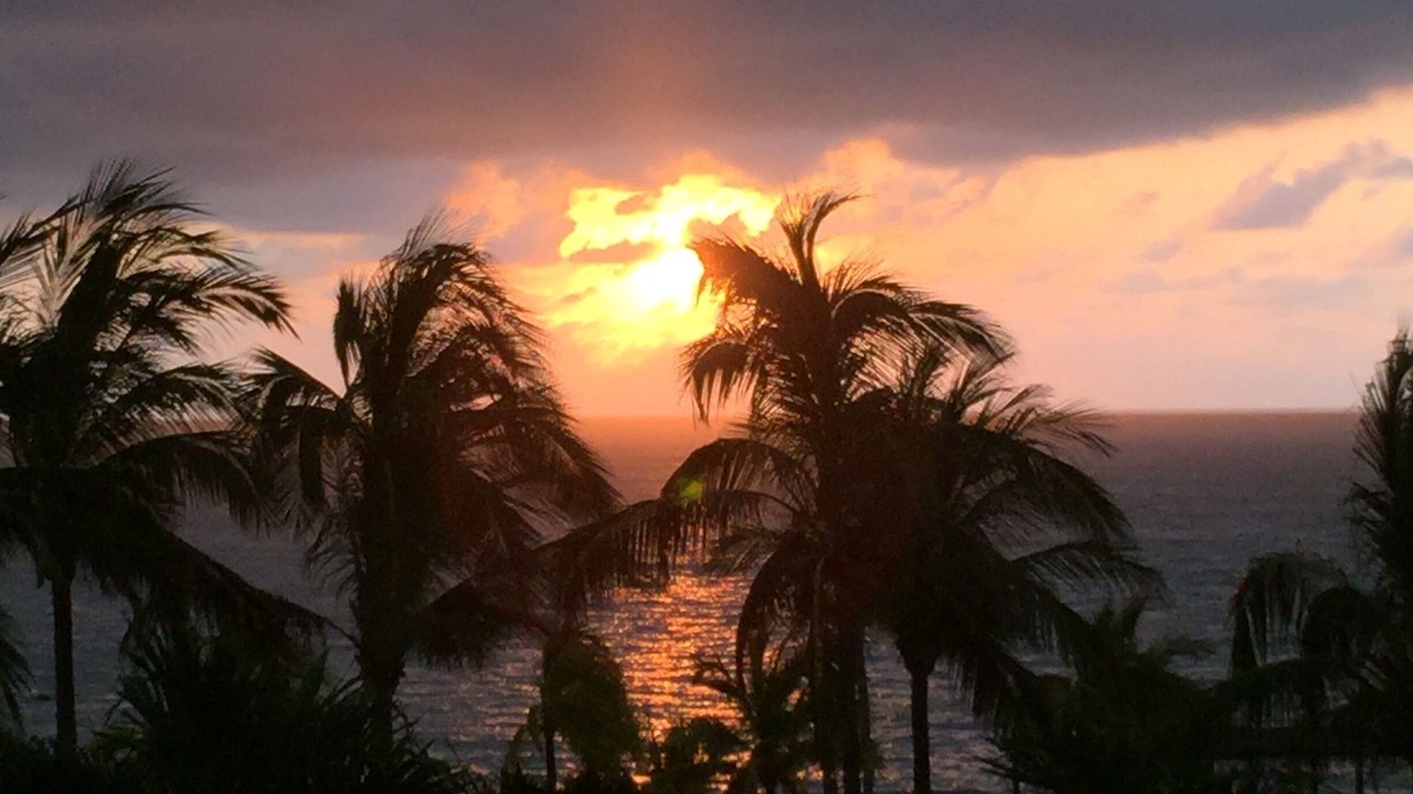Photo of Outdoor in Punta de Mita