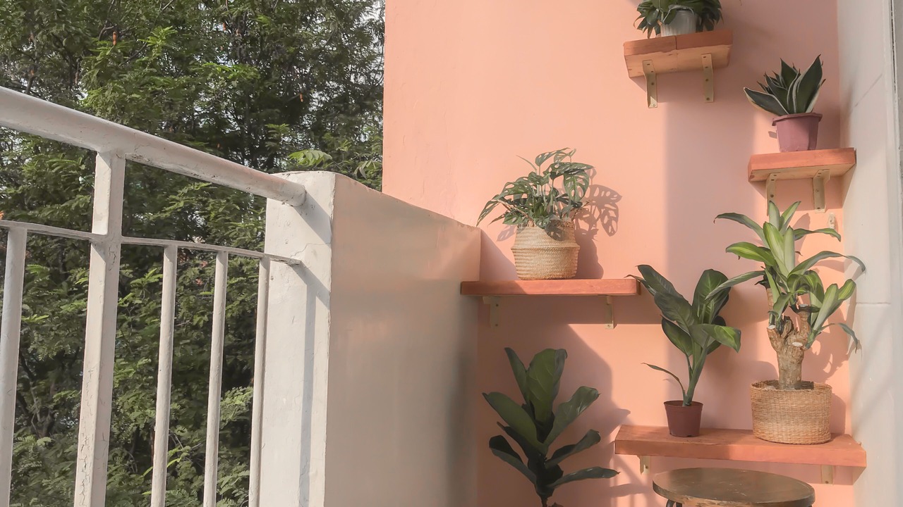 Photo of Outdoor in Dong Khoi