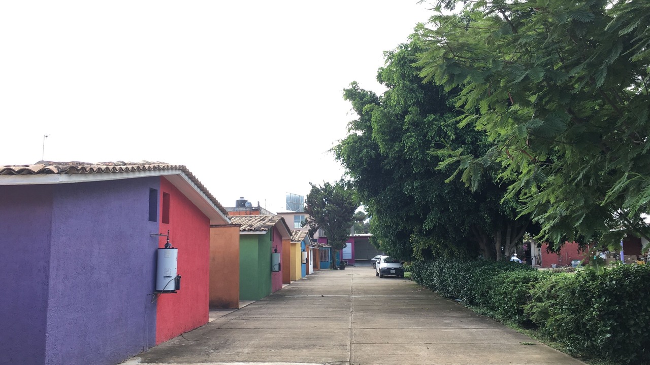 Photo of Outdoor in Oaxaca