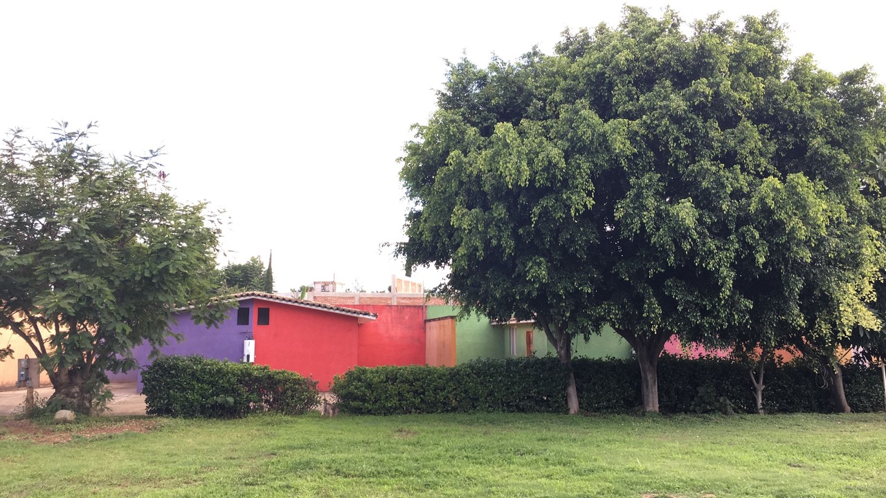 Photo of Outdoor in Oaxaca