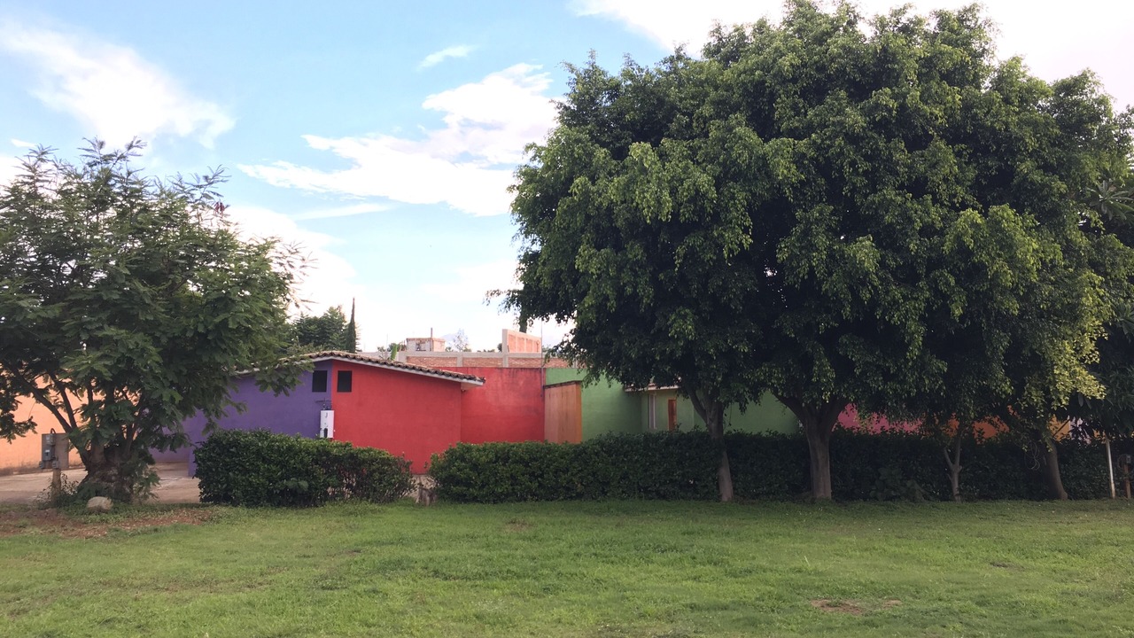 Photo of Outdoor in Oaxaca