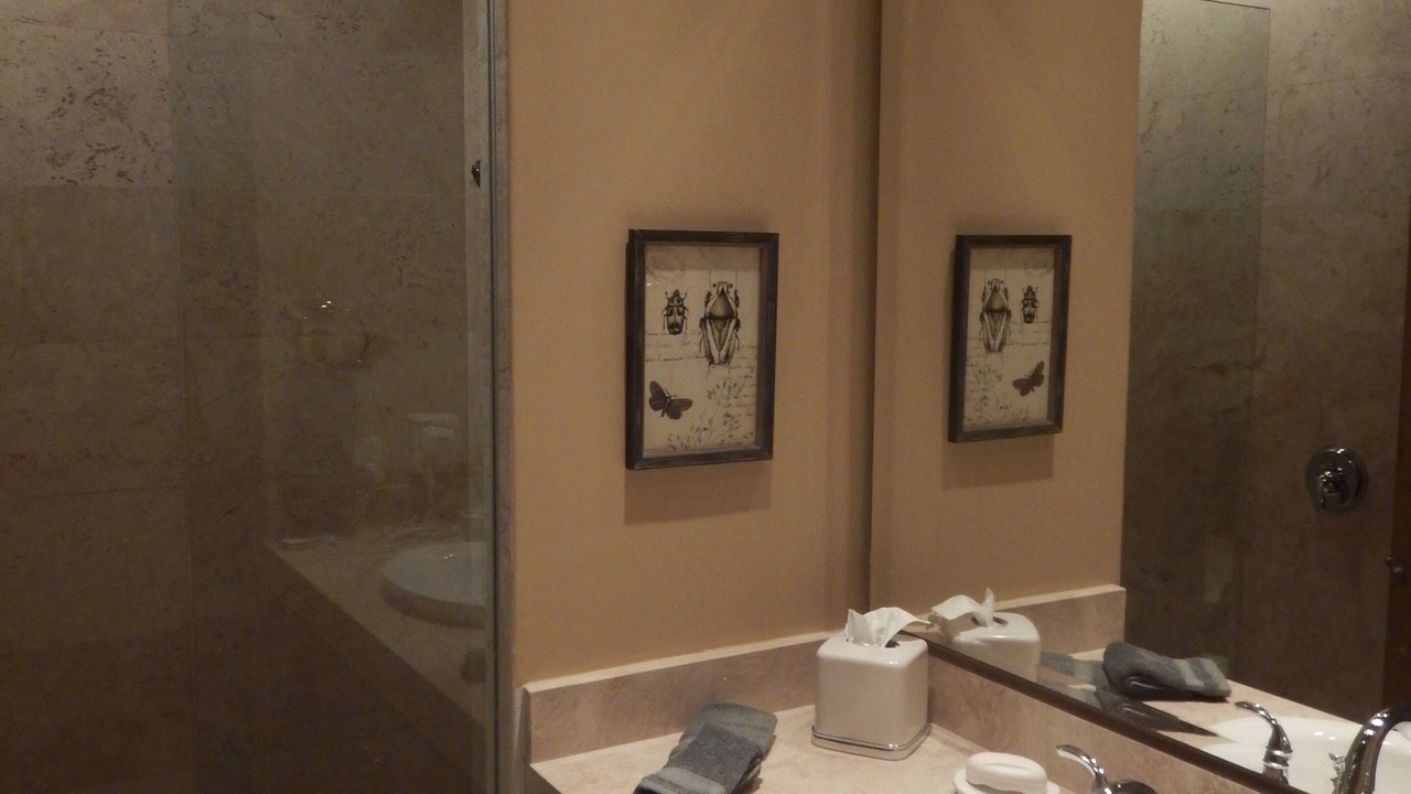 Photo of Bathroom in Emiliano Zapata