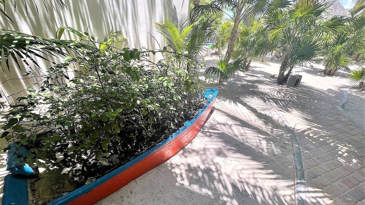 Photo of Outdoor in Merida