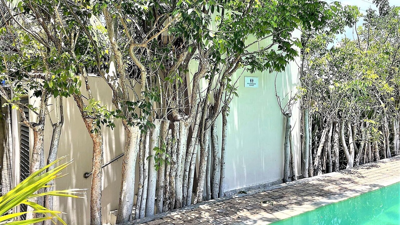 Photo of Outdoor in Merida
