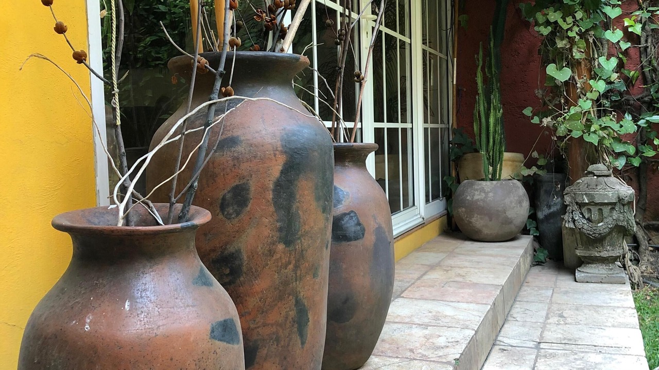 Photo of Outdoor in Colonia Cuauhtemoc