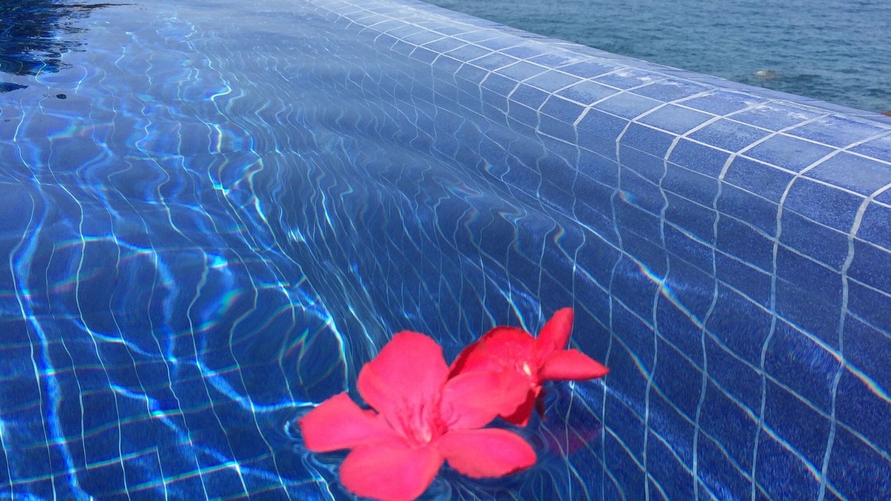 Photo of Outdoor in Ixtapa
