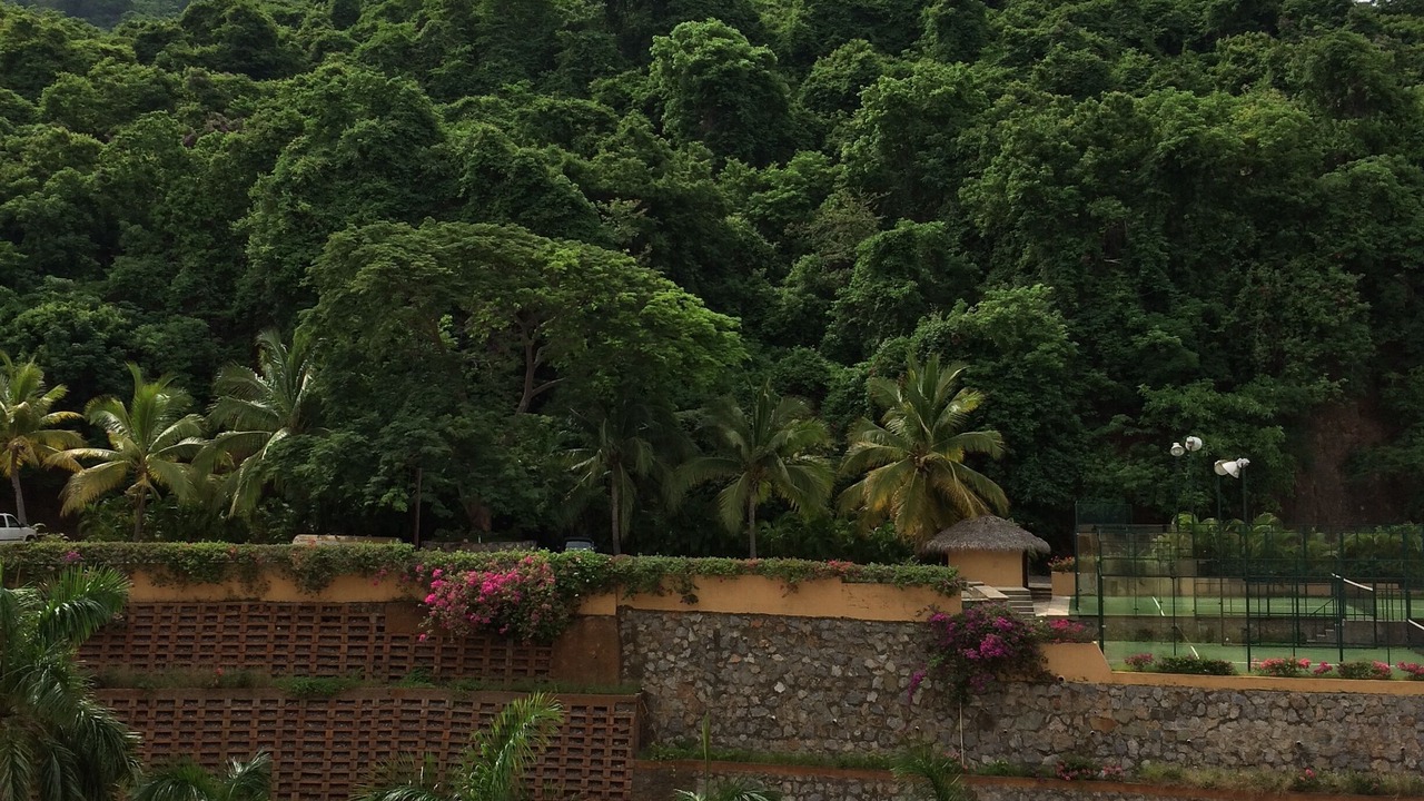 Photo of Others in Ixtapa