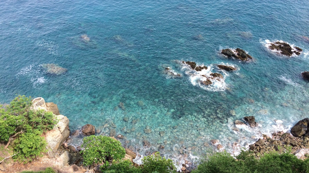 Photo of Others in Ixtapa
