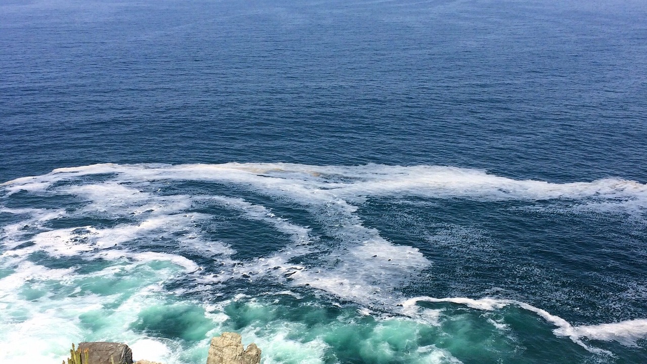 Photo of Others in Ixtapa