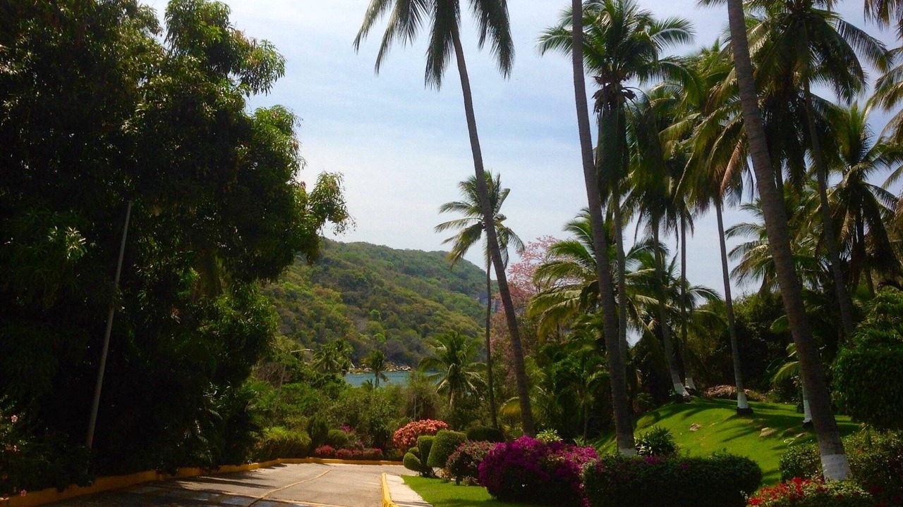 Photo of Outdoor in Puerto Marques