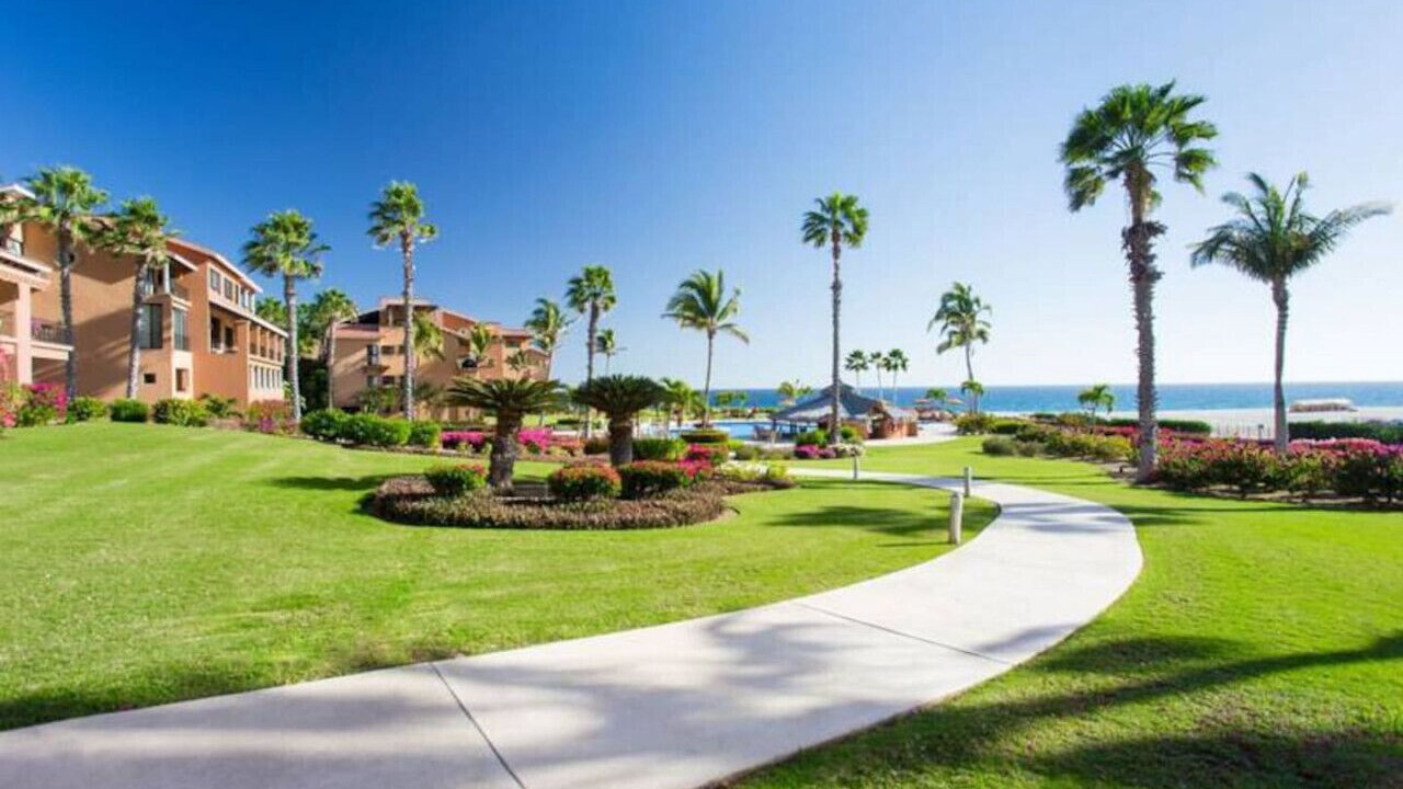 Photo of Others in San Jose del Cabo