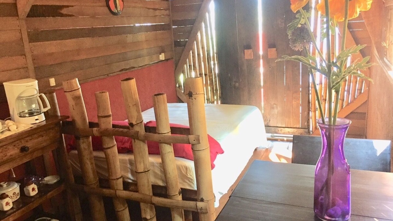 Photo of Bedroom in Playa Las Gatas