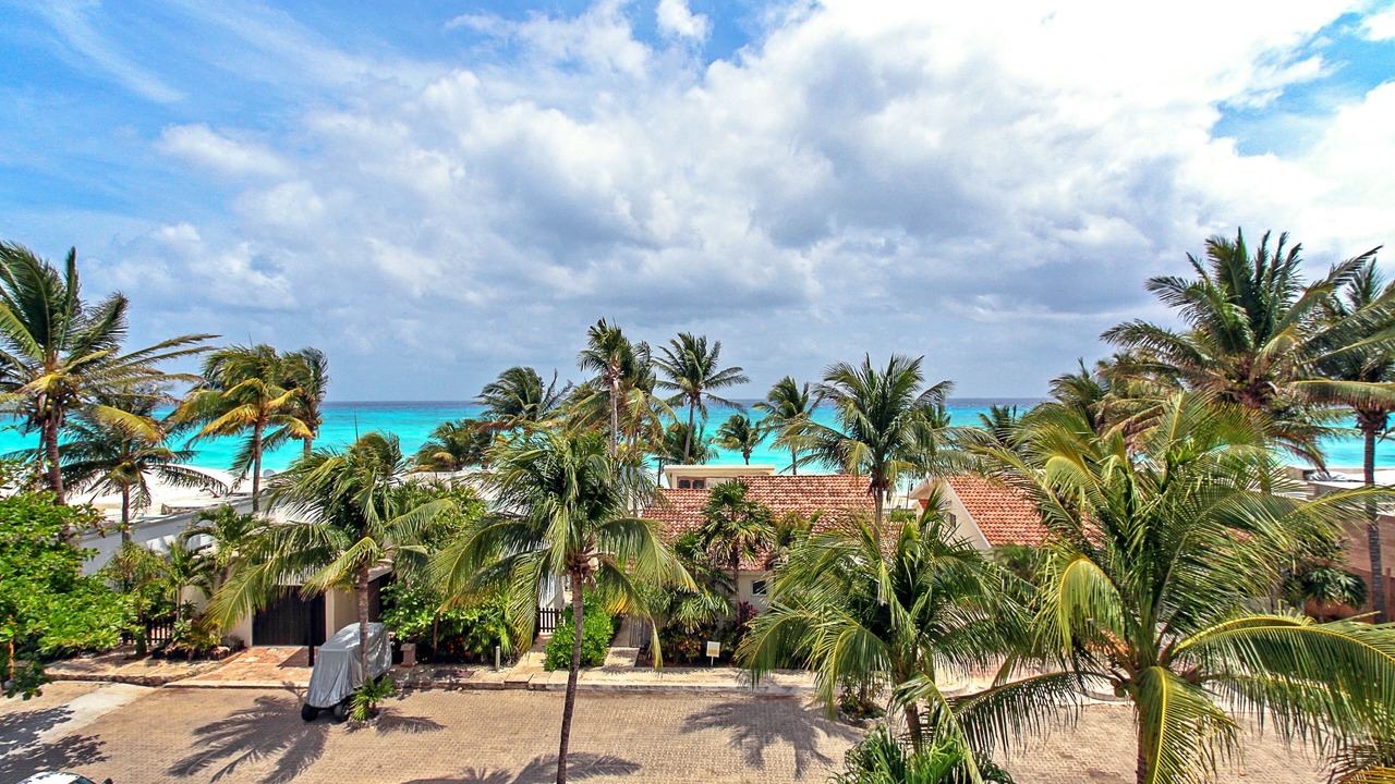 Photo of Others in Playacar Fase I