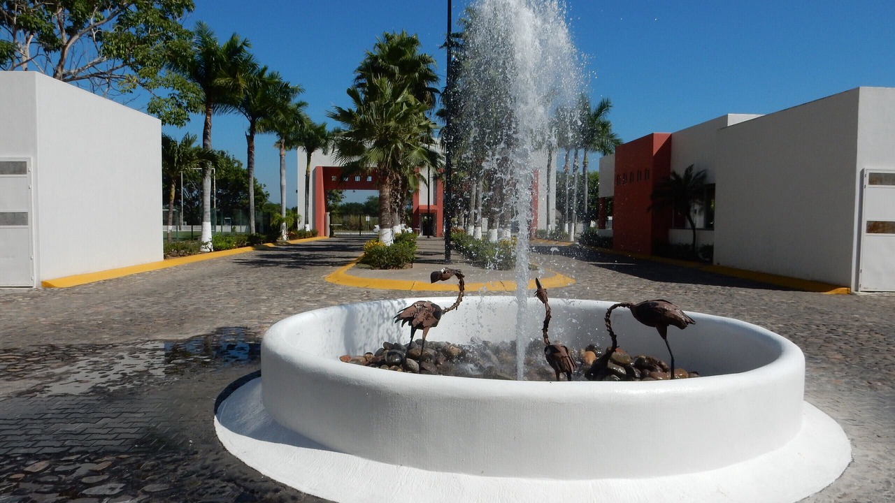 Photo of Others in Flamingos