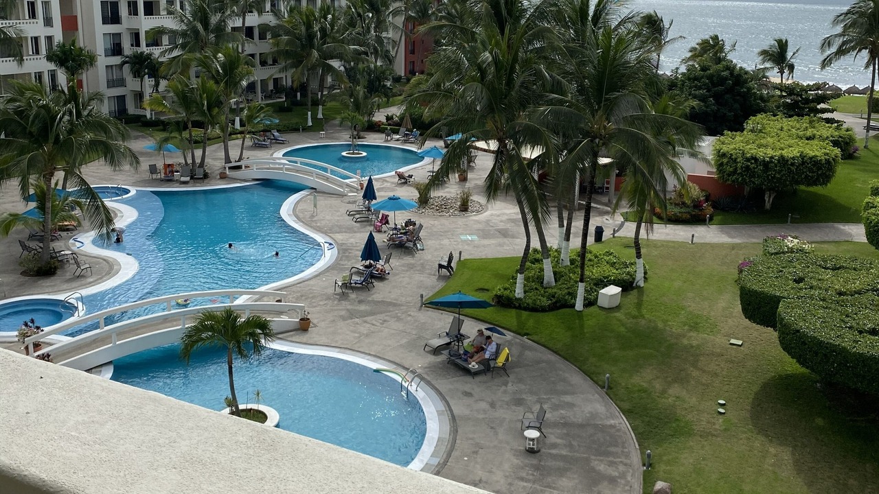 Photo of Outdoor in Flamingos