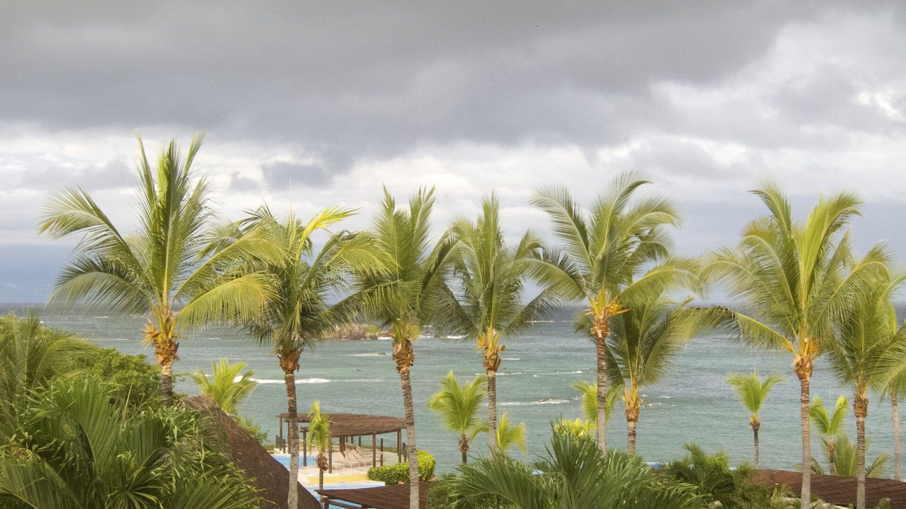 Photo of Others in Punta de Mita