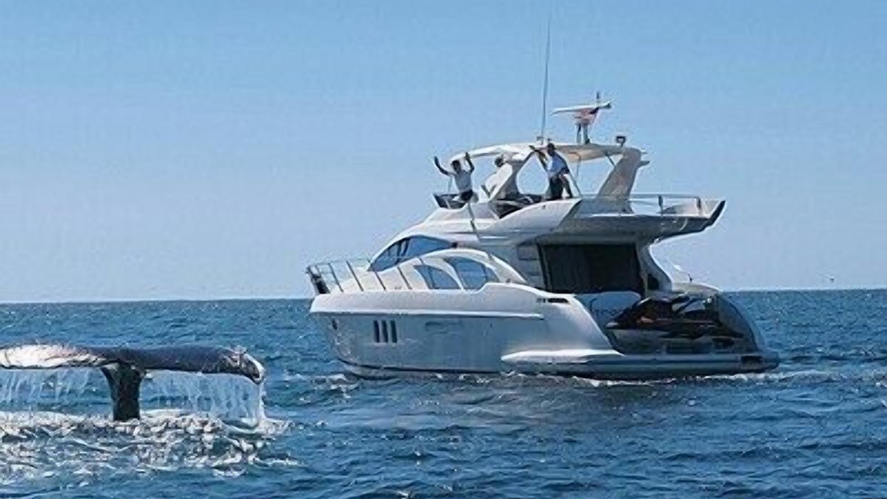 Photo of Others in Punta de Mita