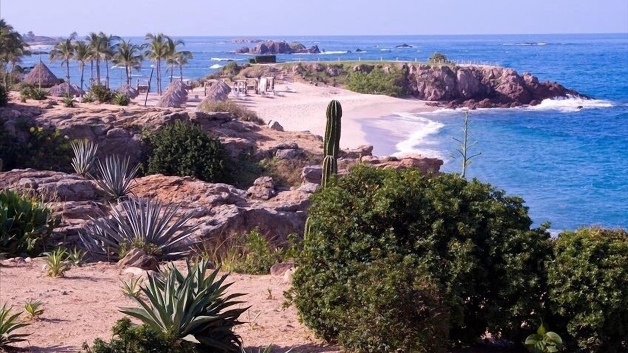 Photo of Others in Punta de Mita