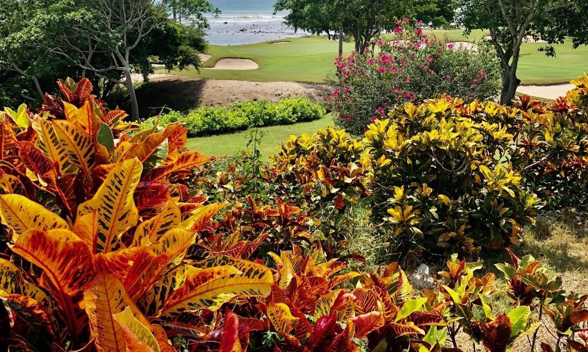 Photo of Outdoor in Punta de Mita