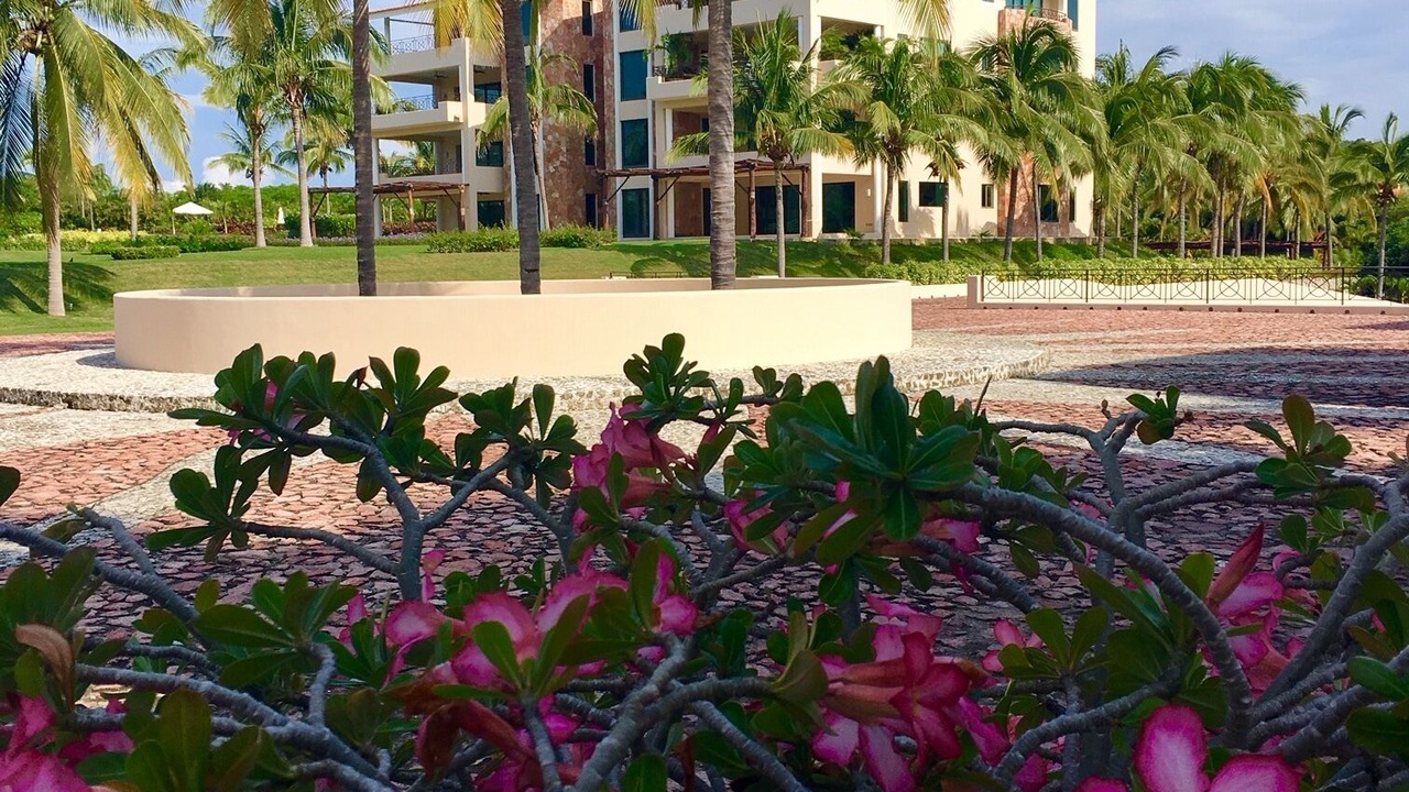 Photo of Outdoor in Punta de Mita