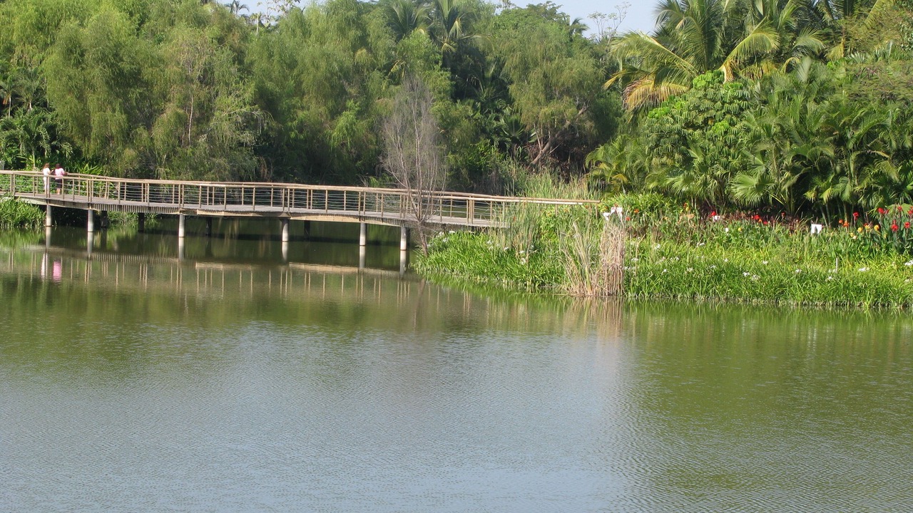 Photo of Others in Nuevo Vallarta