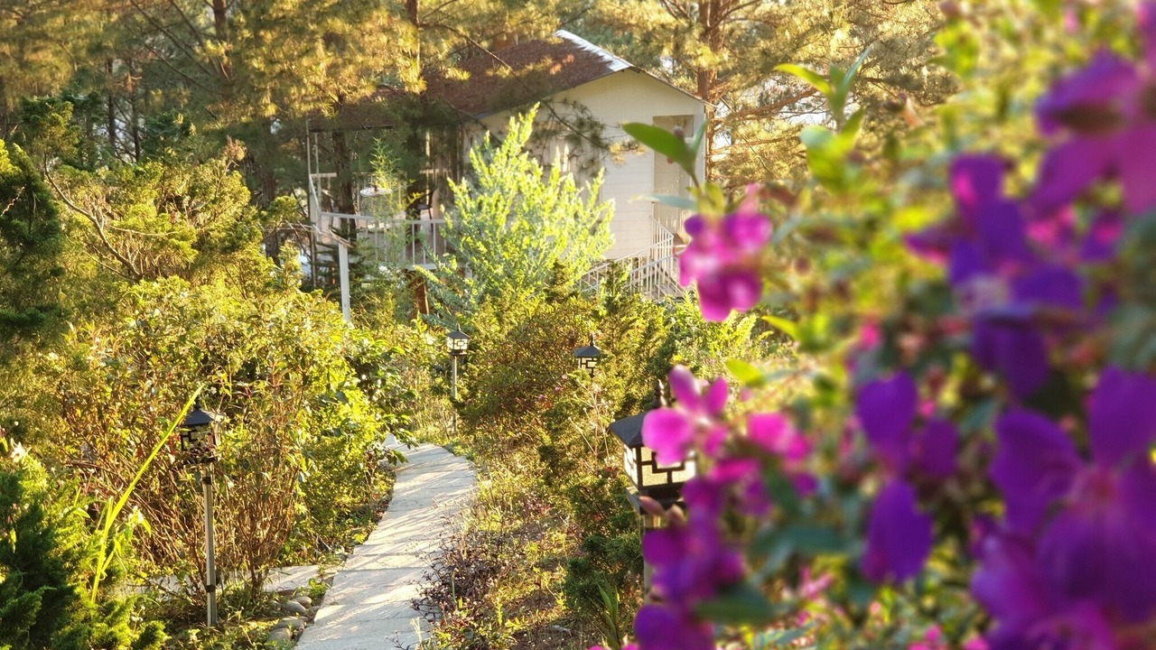 Photo of Outdoor in Da Lat