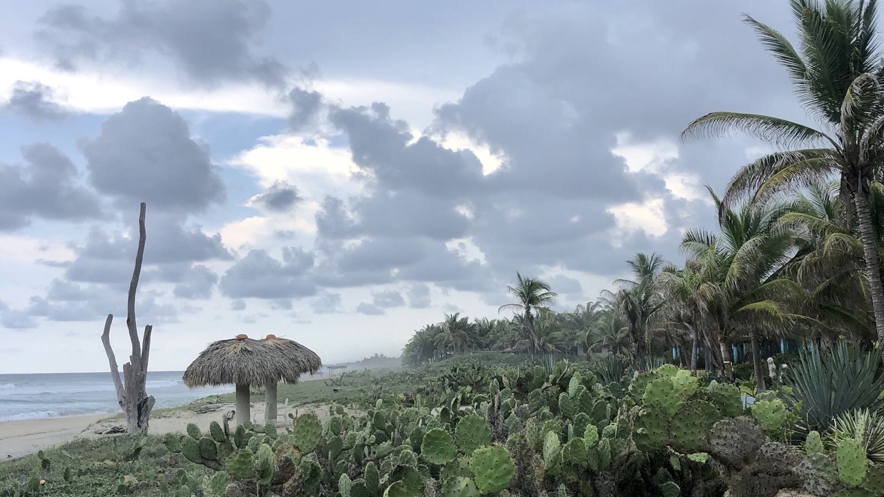 Photo of Others in Barra de Colotepec