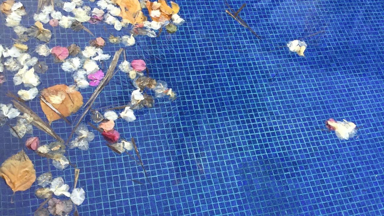 Photo of Outdoor in Barra de Colotepec