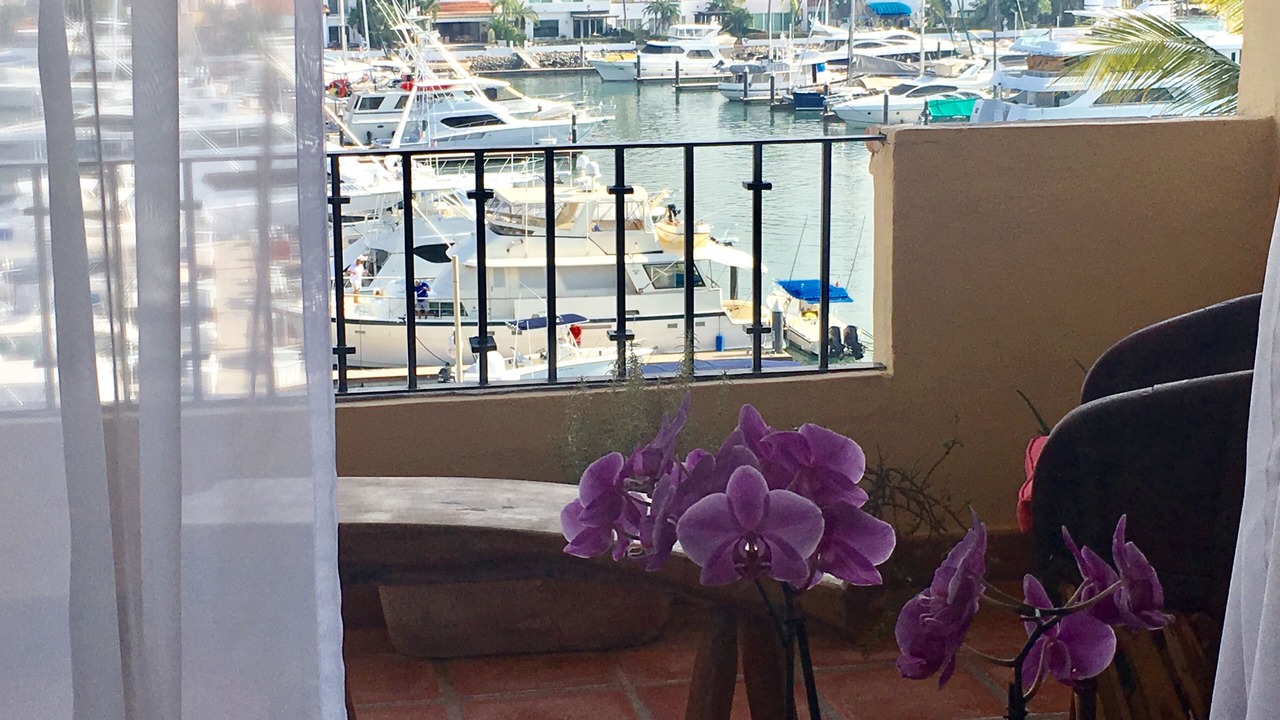 Photo of Others in Marina Vallarta
