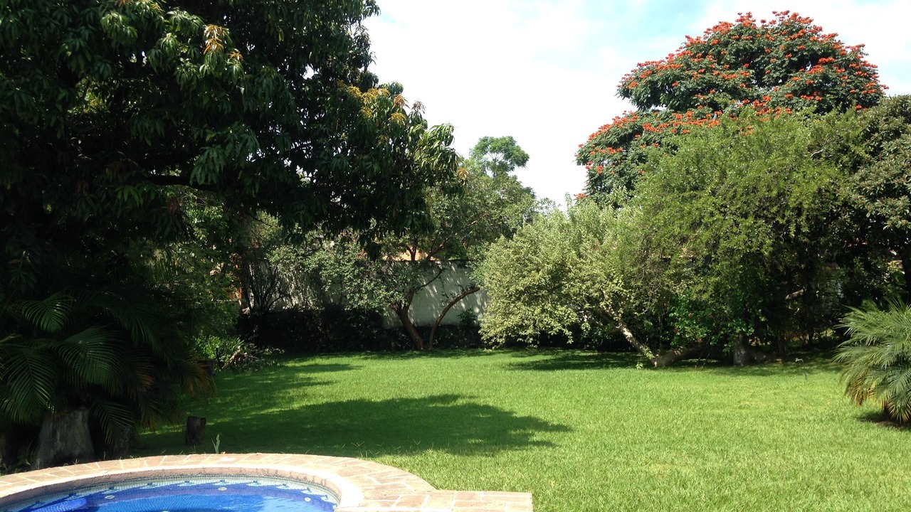 Photo of Outdoor in Cuernavaca