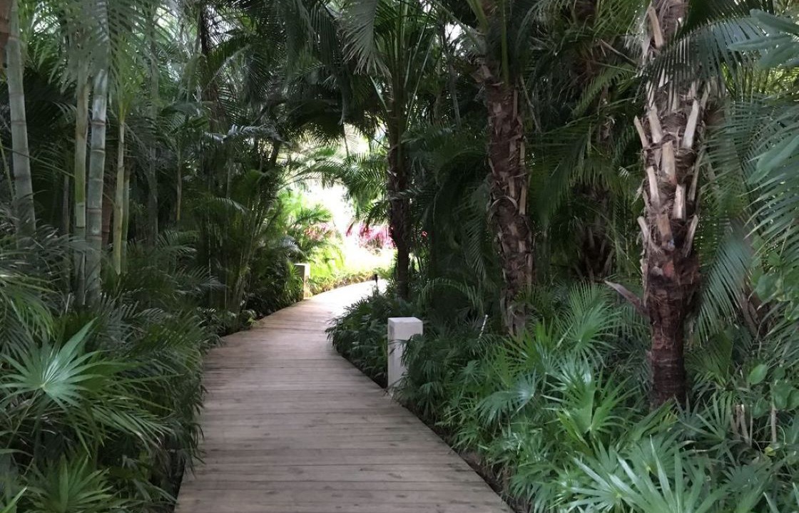 Photo of Outdoor in Nuevo Vallarta