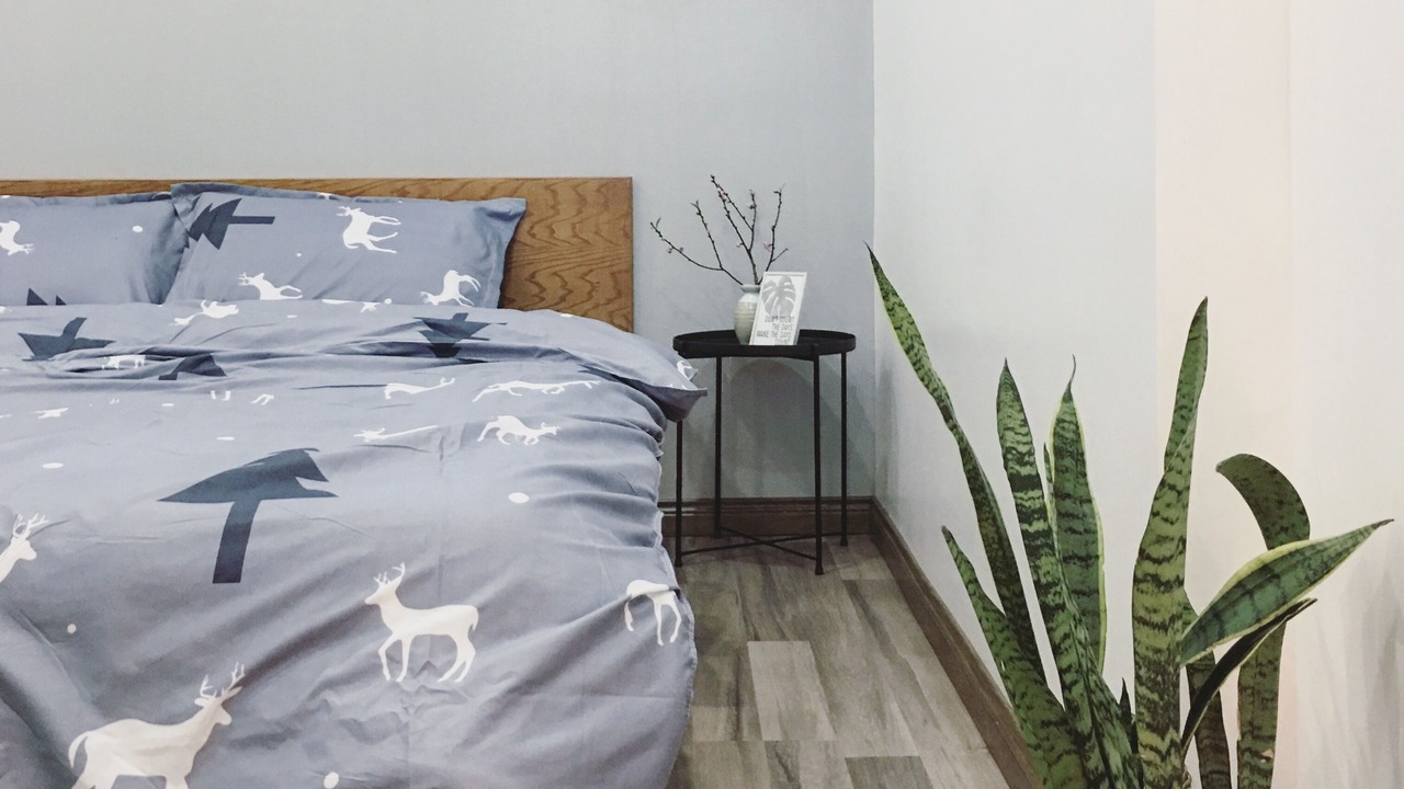 Photo of Bedroom in Bai Chay