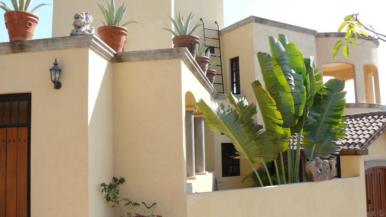 Photo of Others in La Manzanilla