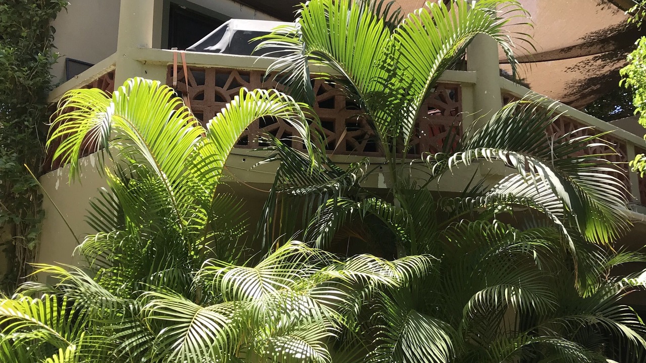 Photo of Outdoor in San Jose del Cabo