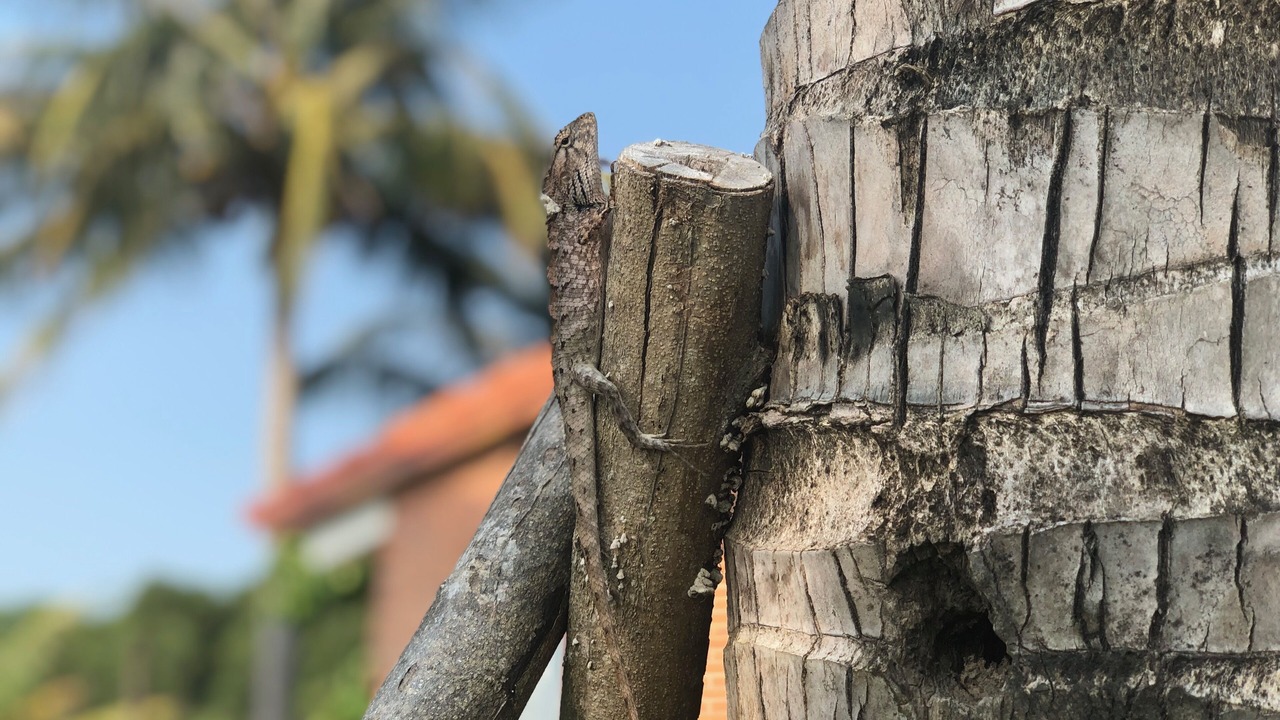 Photo of Outdoor in Ham Ninh
