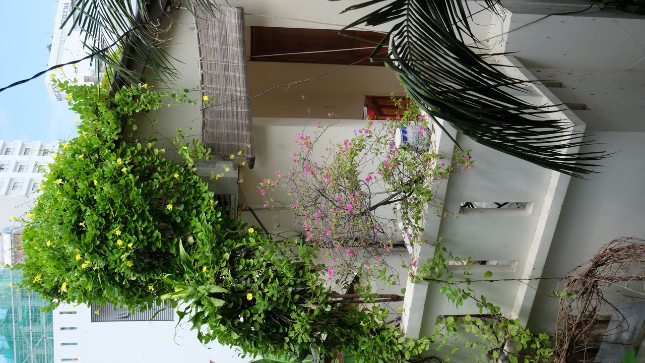 Photo of Outdoor in Tran Phu Beach