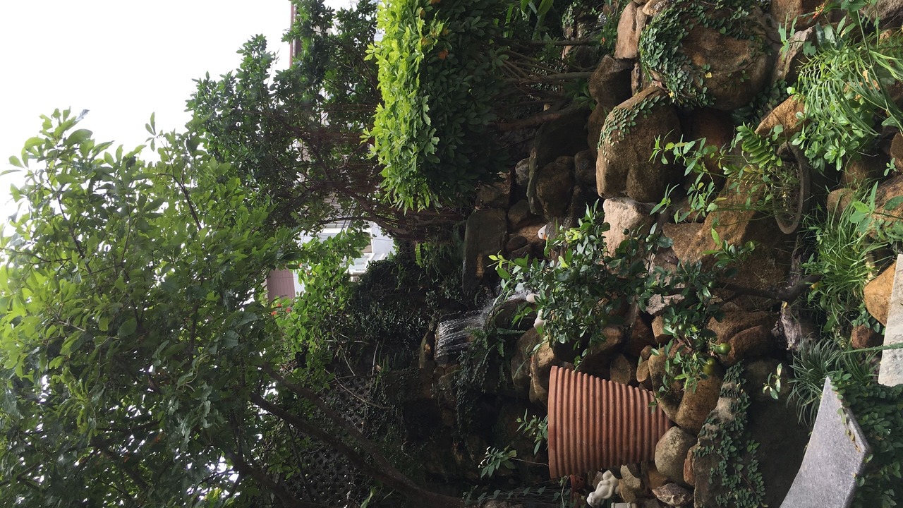 Photo of Others in Vung Tau