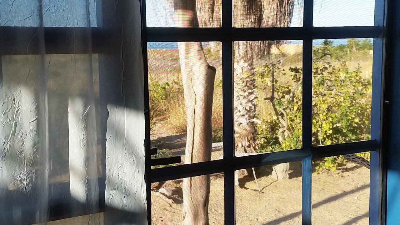 Photo of Others in Todos Santos