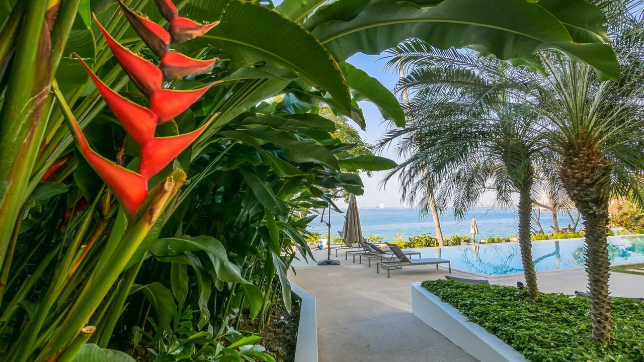 Photo of Outdoor in South Shore Hotel Area