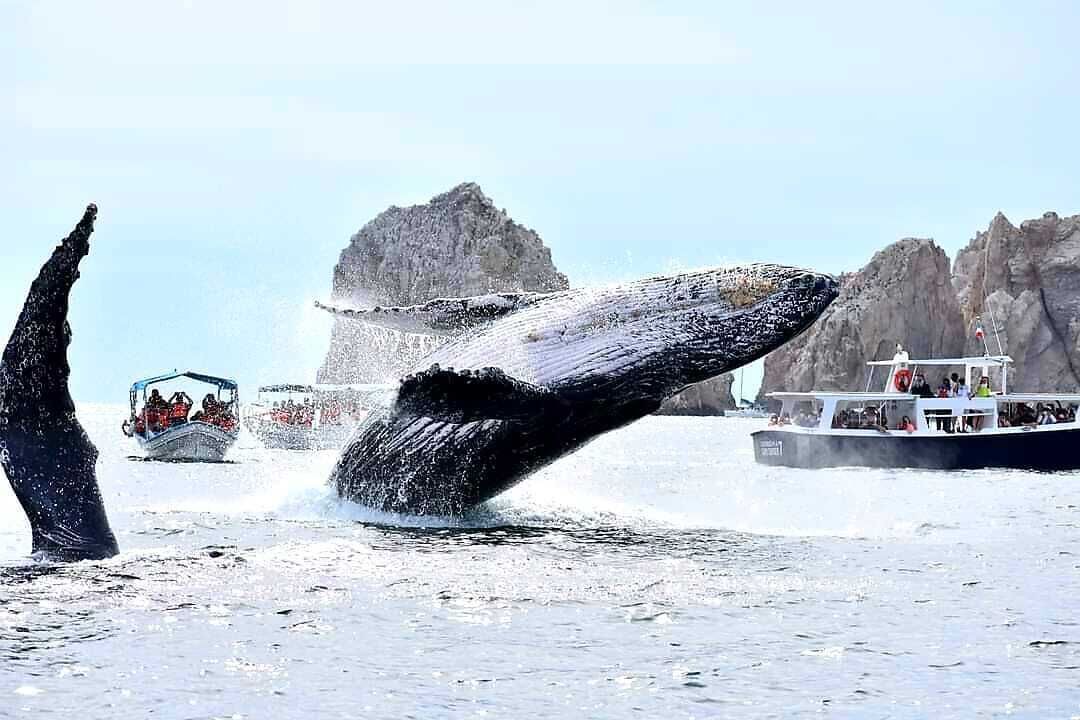Photo of Others in Cabo Bello