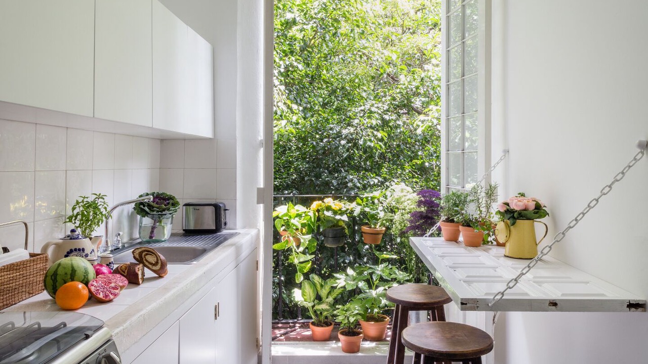 Photo of Kitchen in Roma Norte