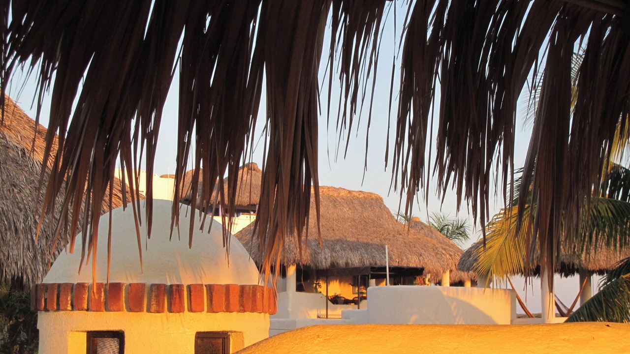 Photo of Outdoor in Hidalgo
