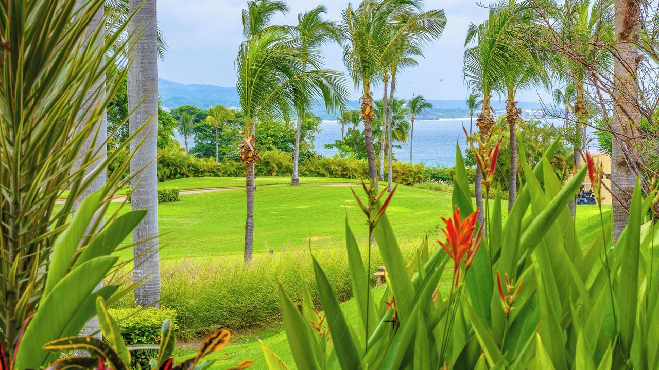 Photo of Outdoor in Punta de Mita