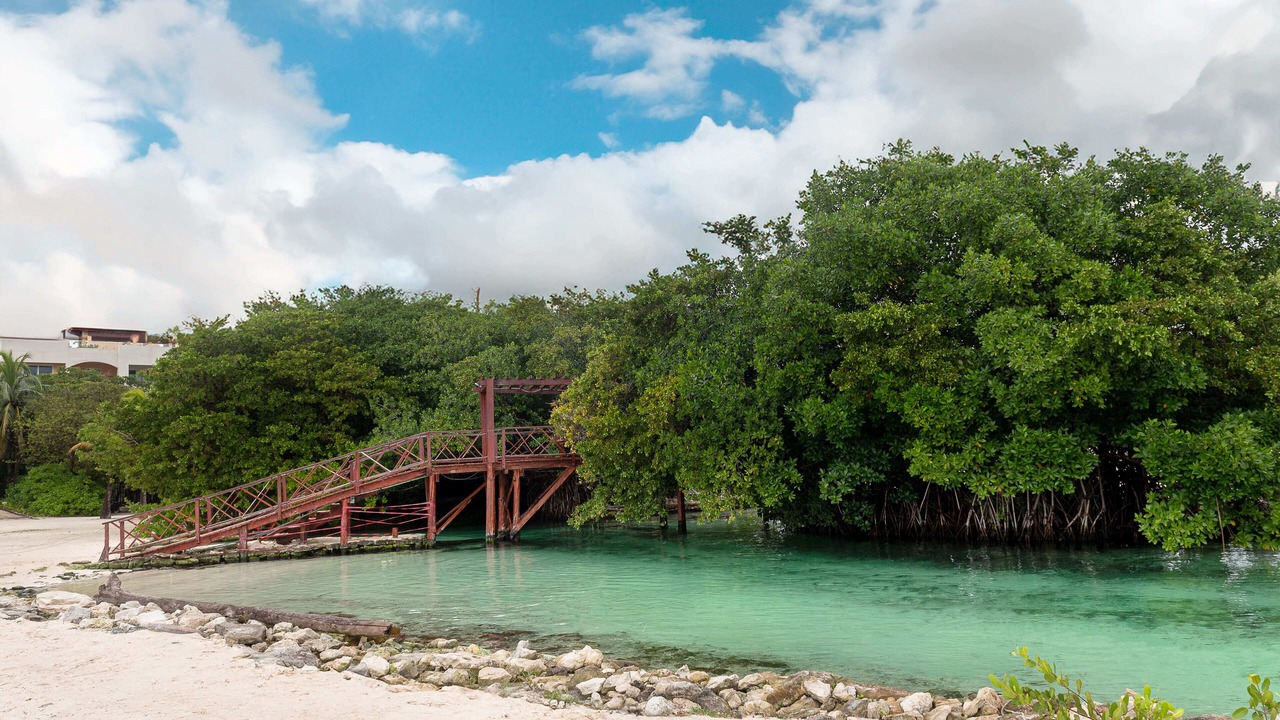 Photo of Outdoor in Villa Juarez