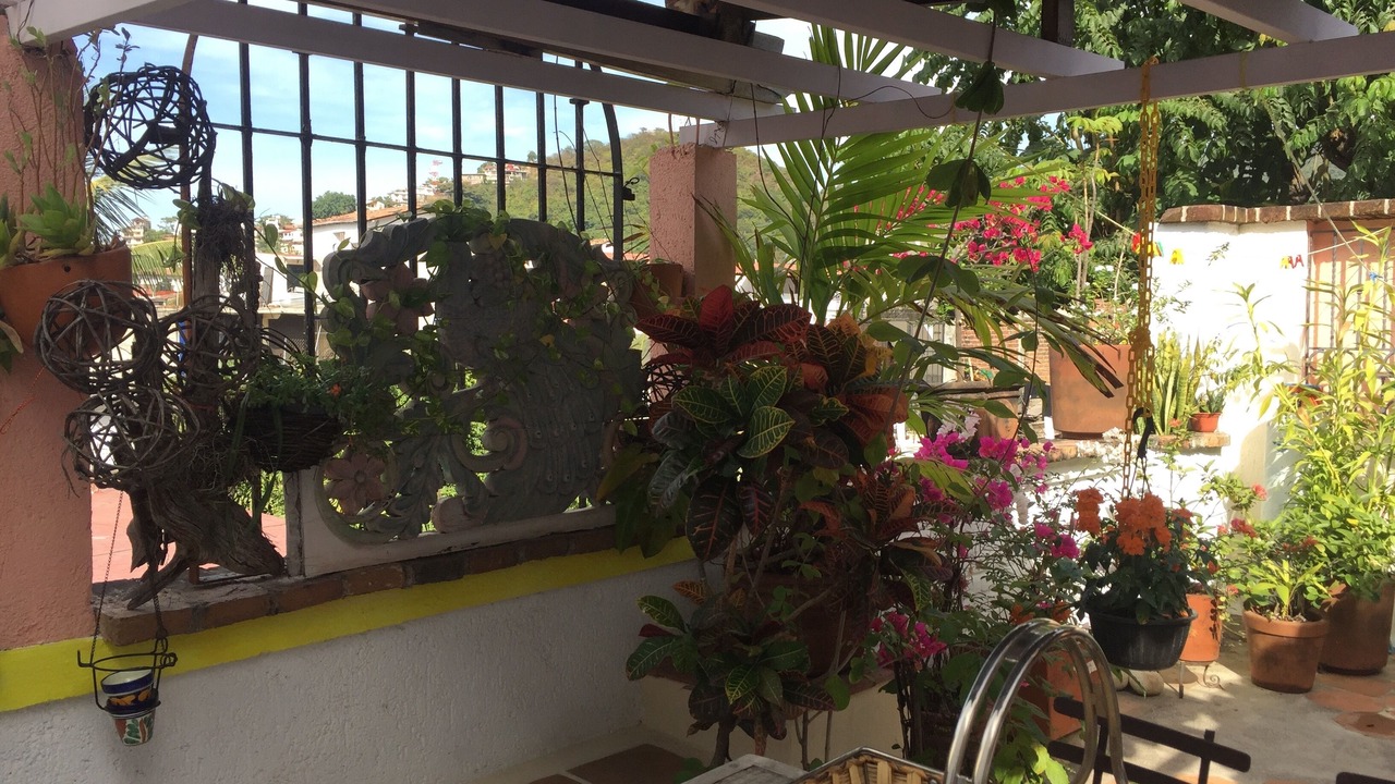 Photo of Patio Balcony in Emiliano Zapata