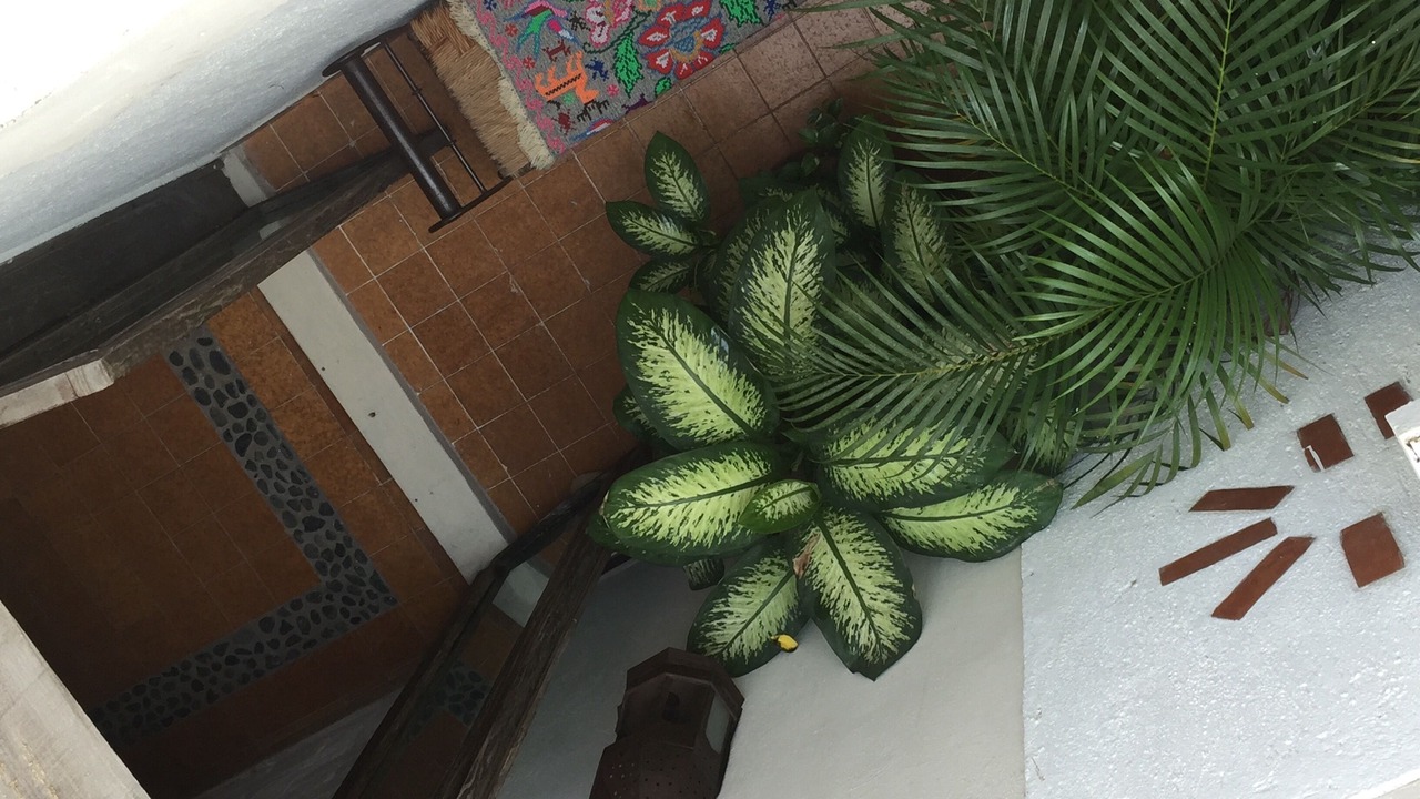 Photo of Outdoor in Emiliano Zapata