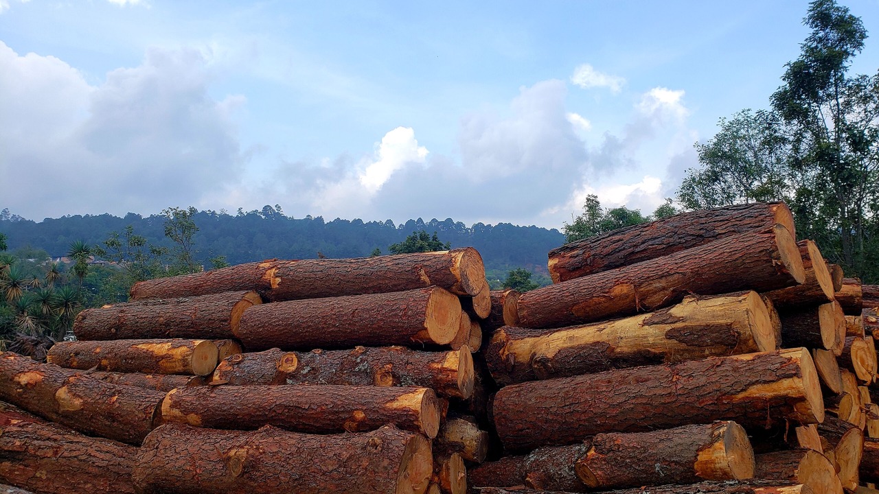 Photo of Outdoor in Mazamitla
