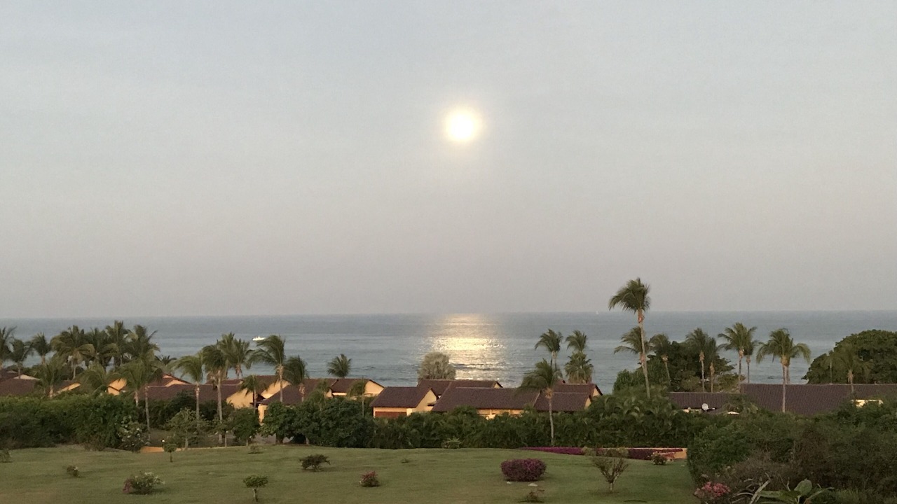 Photo of Others in Punta de Mita