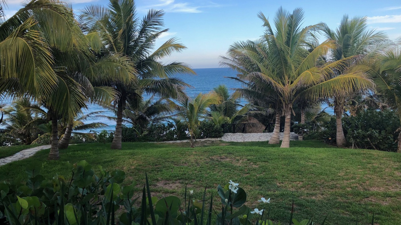 Photo of Outdoor in Tampico Alto